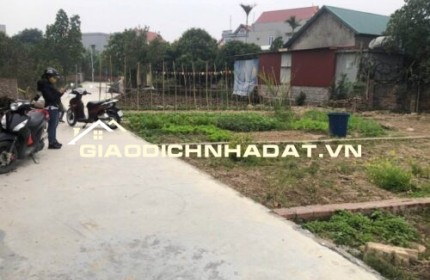 Chính chủ cần bán nhanh lô đất xã Cổ Bi, huyện Bình Giang, Hải Dương